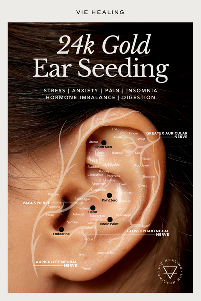 Ear Seeding Flyer (50 Pack)