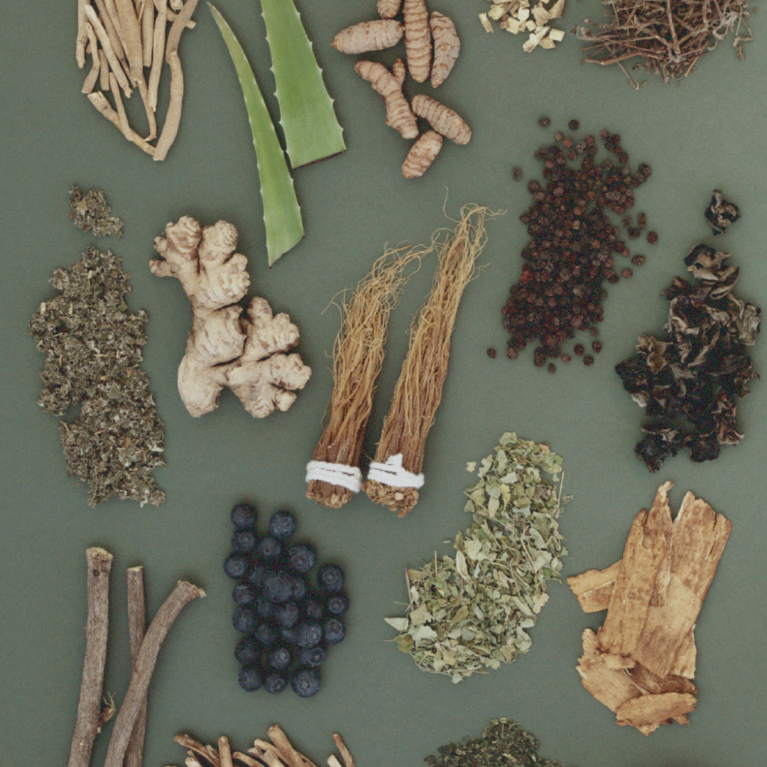3 Under-the-Radar Adaptogens You Need in Your Life