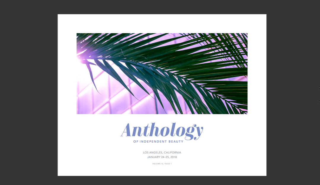 ANTHOLOGY: STANDOUT TRENDS FROM IBE LA 2018