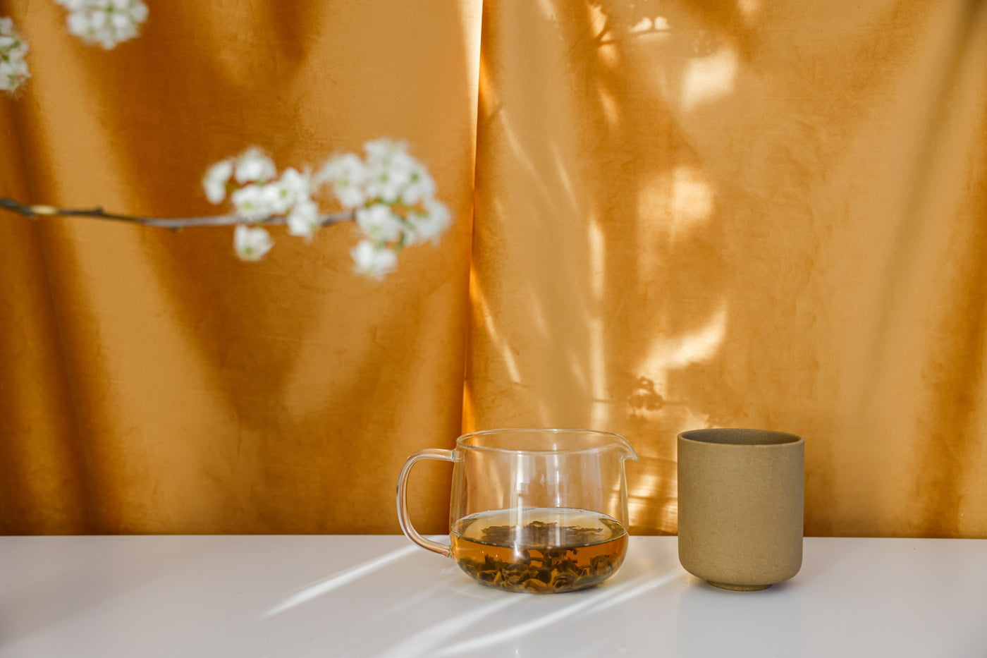 TCM Herbal Teas: Nature's Remedy for Well-Being
