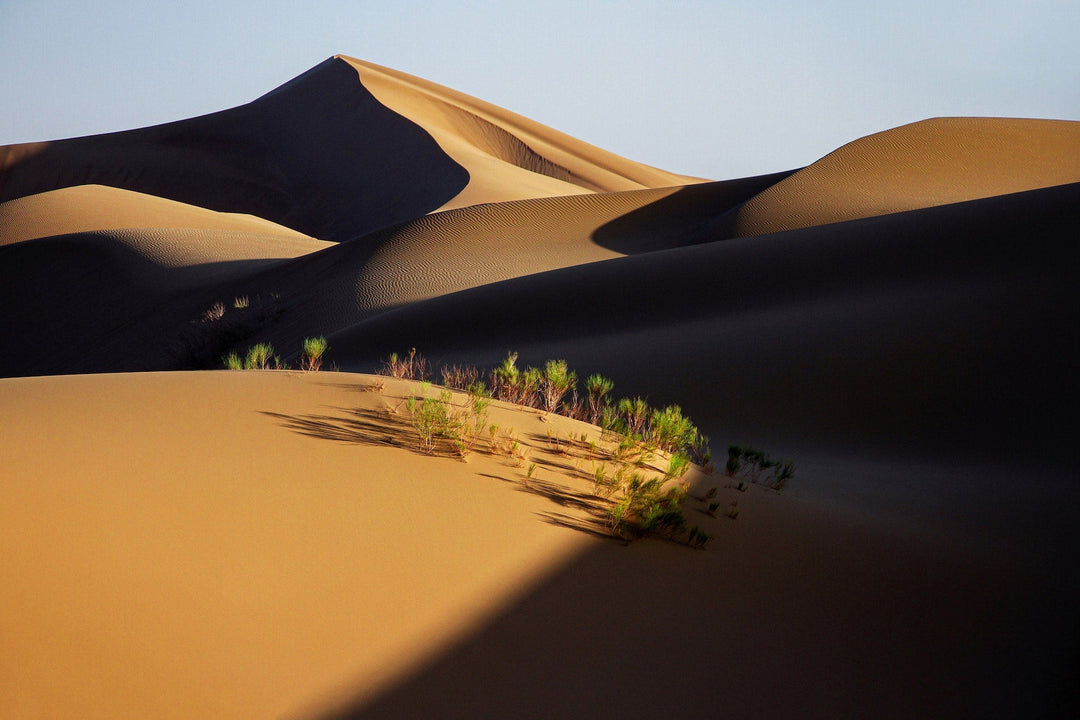 Combining Chinese and Western Medicine for Optimal Health