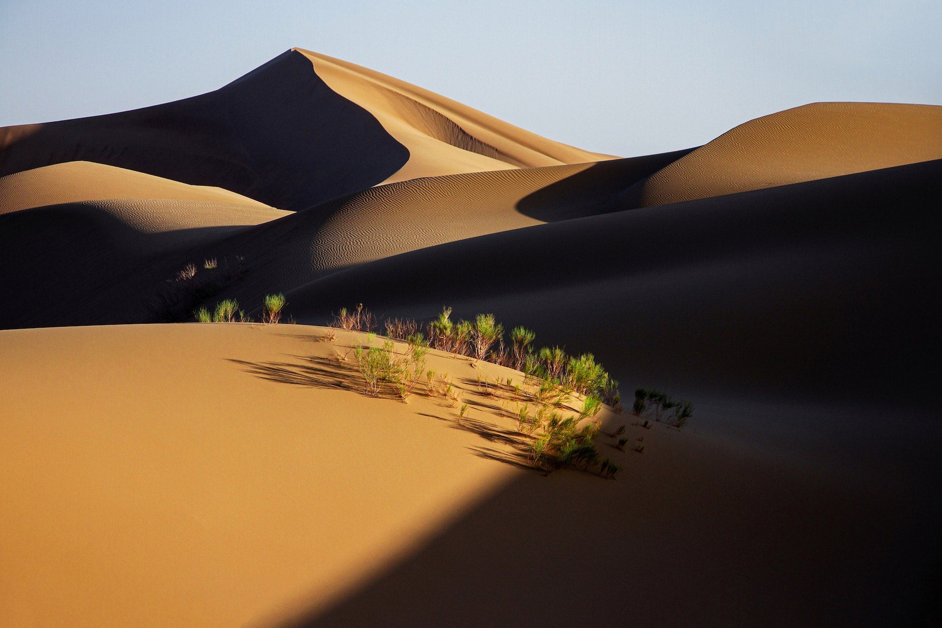 Combining Chinese and Western Medicine for Optimal Health