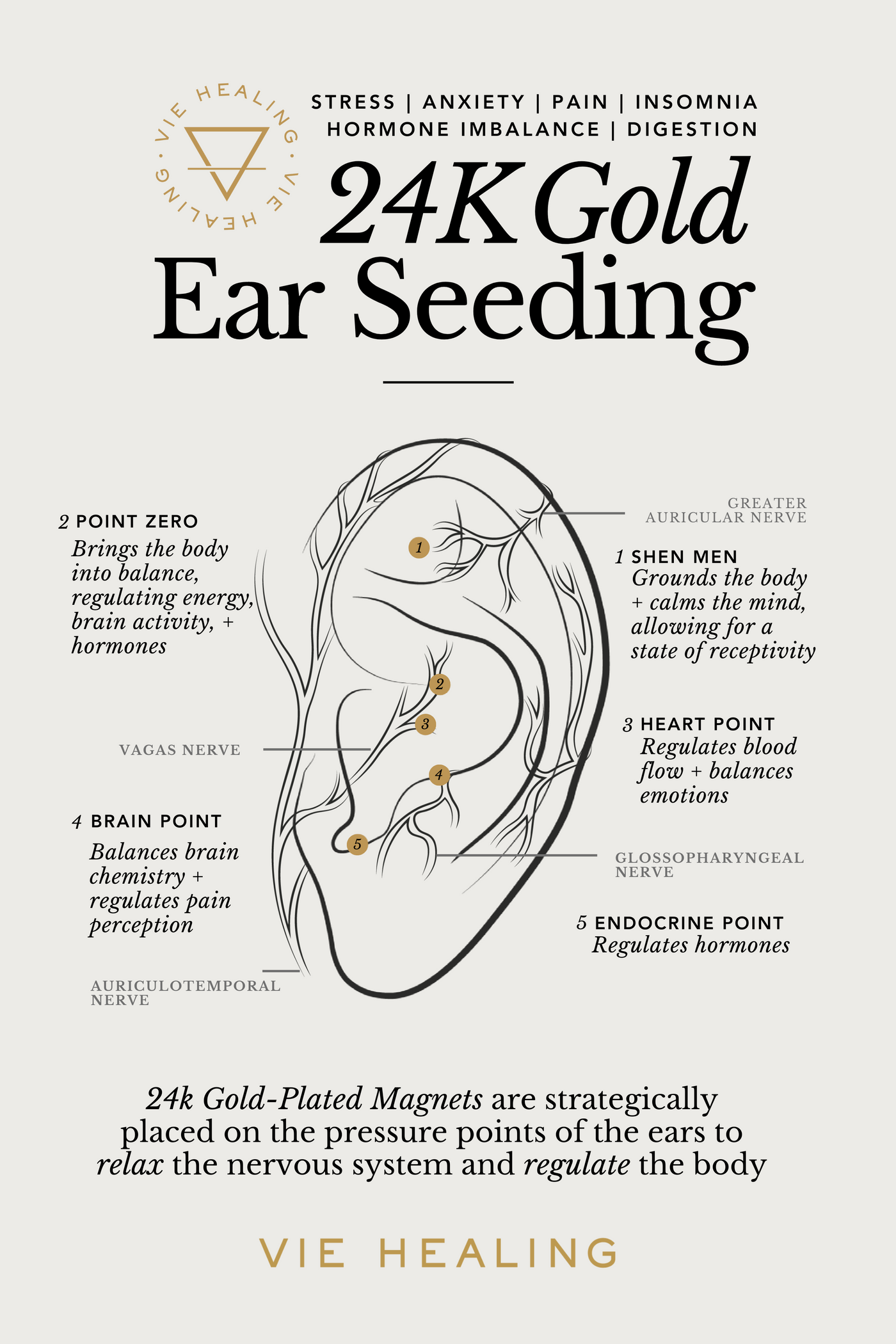 Infographic Ear Seeding Flyer