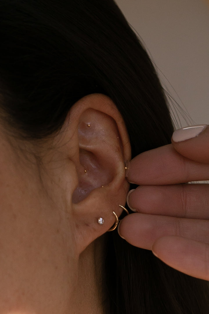 The Foundations (24K Gold Ear Seeds)
